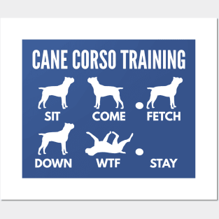 Cane Corso Training Italian Mastiff Tricks Posters and Art